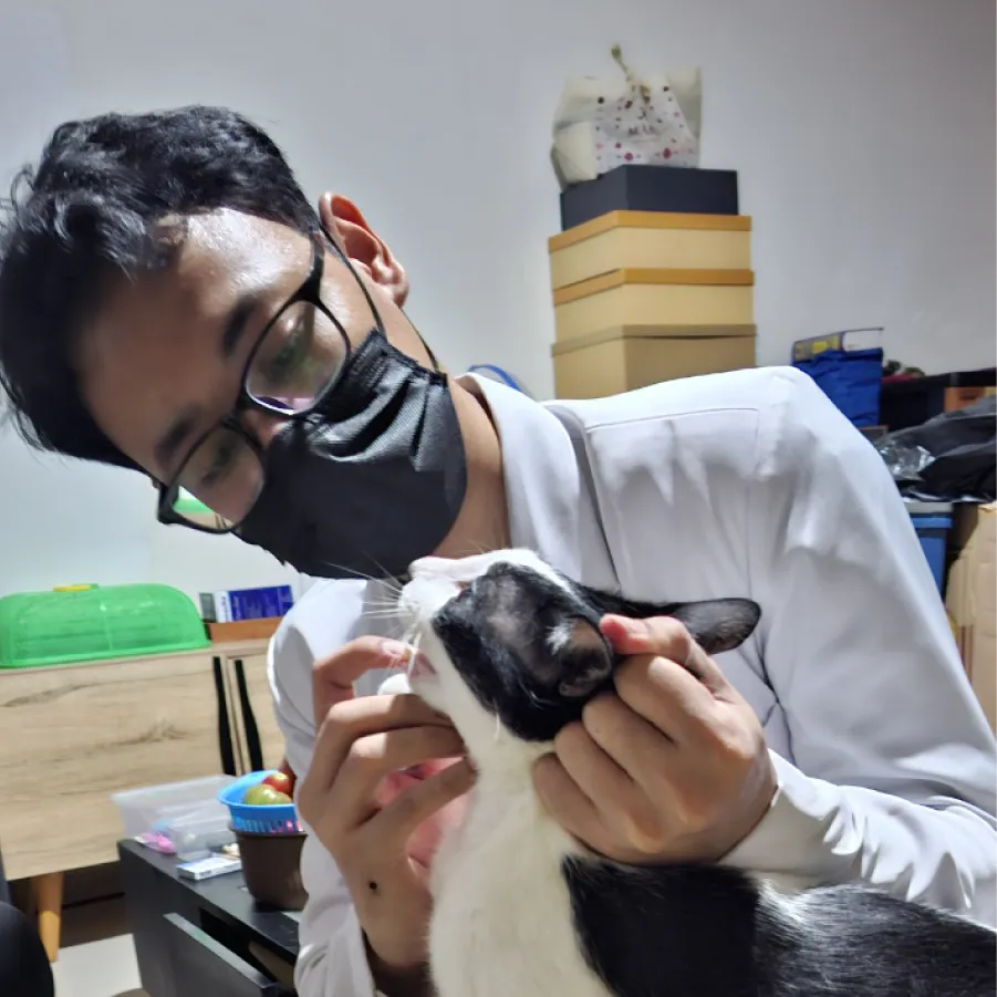 Tatu Wijaya dan 5 kucing peliharaannya
