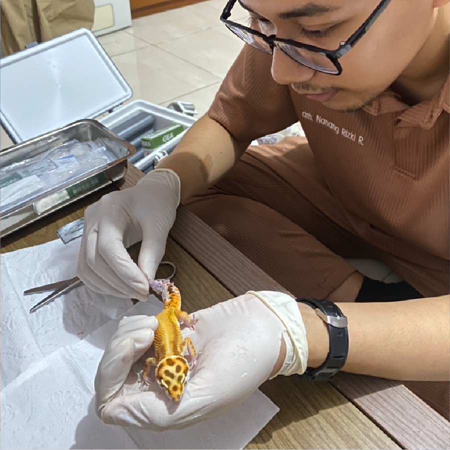 Bu Siti & Gecko peliharaan