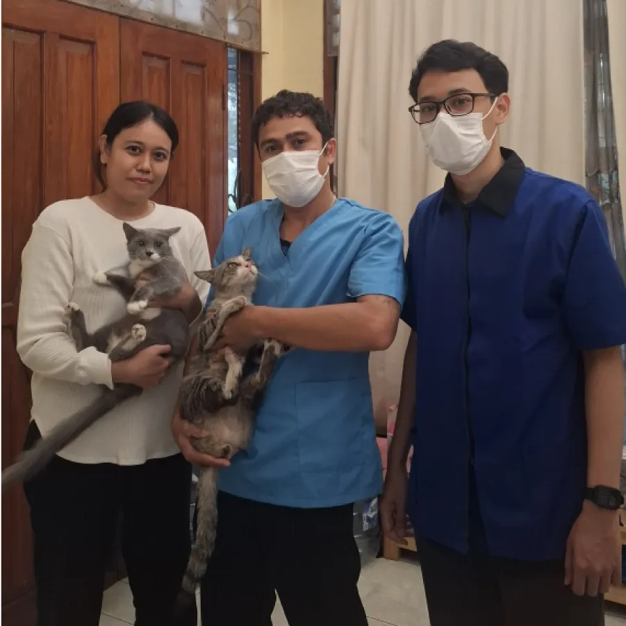 Kannisa, Eja & Toing si kucing