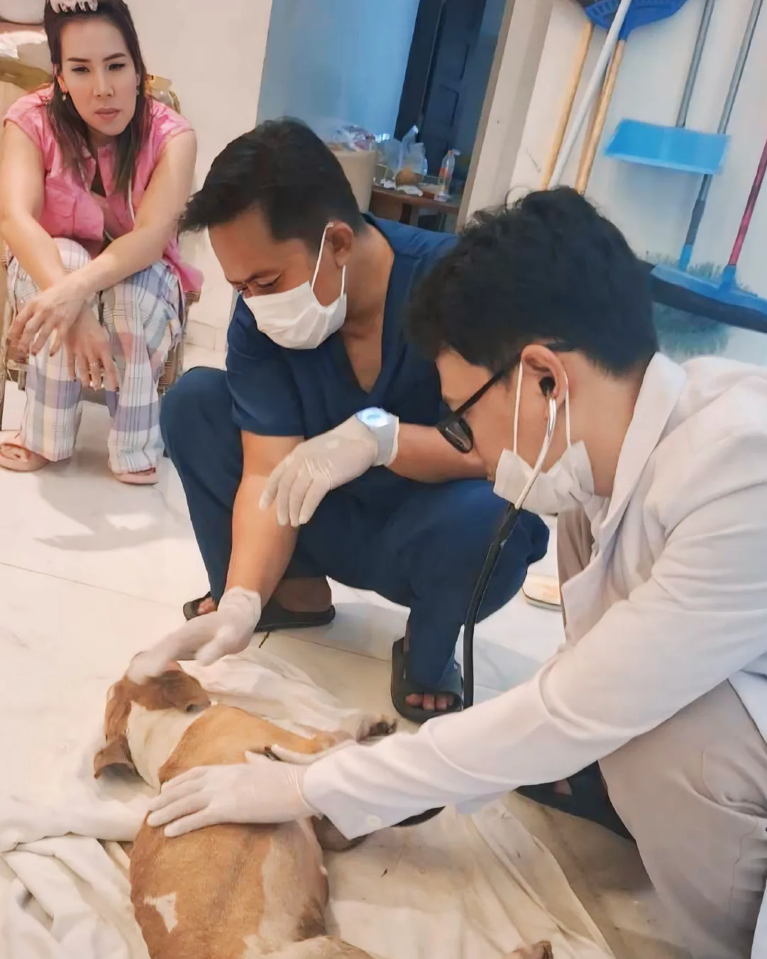 dokumentasi-paravet-8