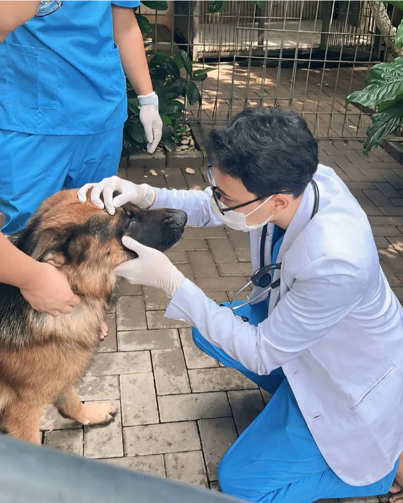 dokumentasi-paravet-home-visit-01