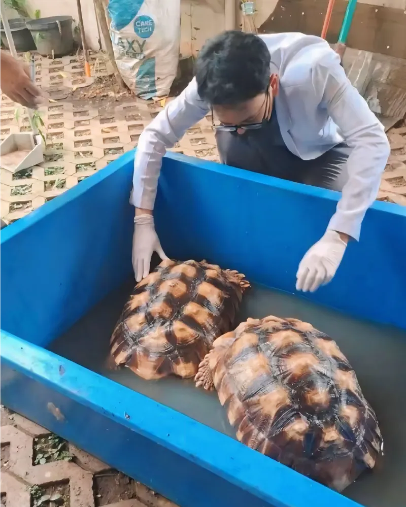 dokumentasi-paravet-home-visit-04